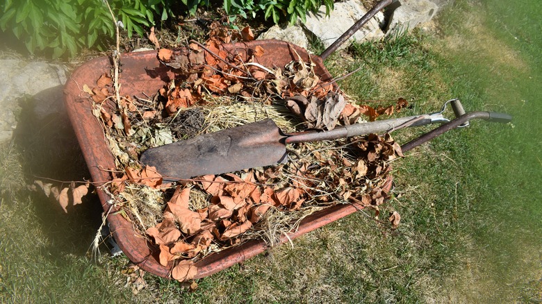 wheelbarrow of weeds