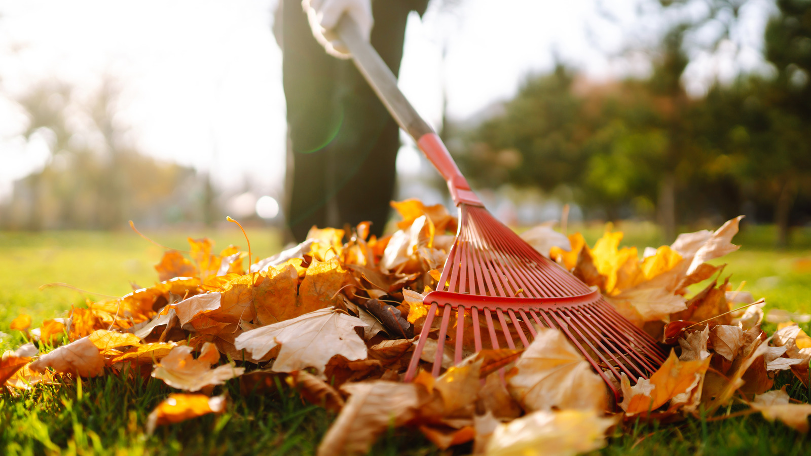 5 Fall Landscaping Tasks To Prepare For Spring