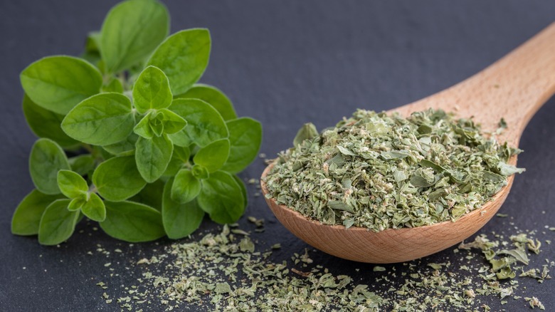 fresh and dried oregano