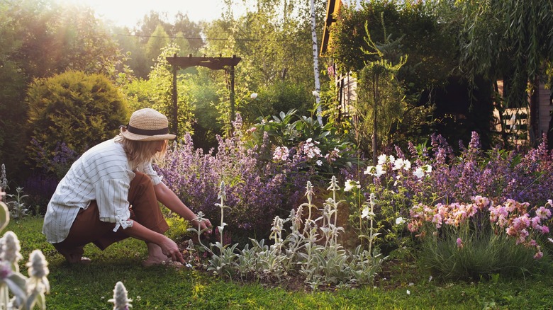 Woman tending to a garden at dusk