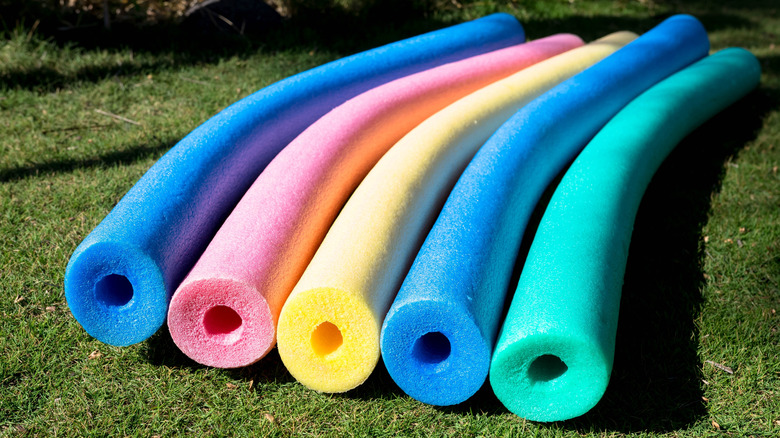 Five pool noodles on grass