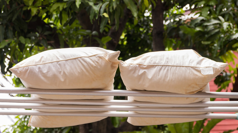 Pillows outside trees