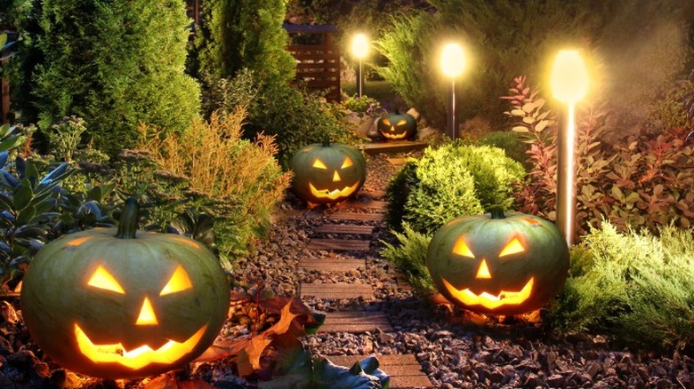 Pumpkin pathway solar lights