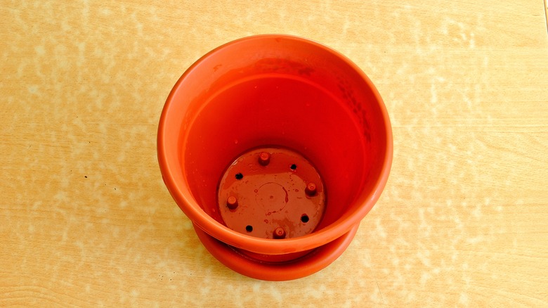 Flower pot with draining holes