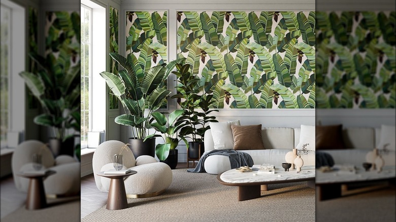 A banana leaf wallpaper is installed in a biophilic living room