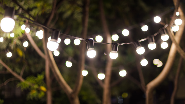 string lights in trees