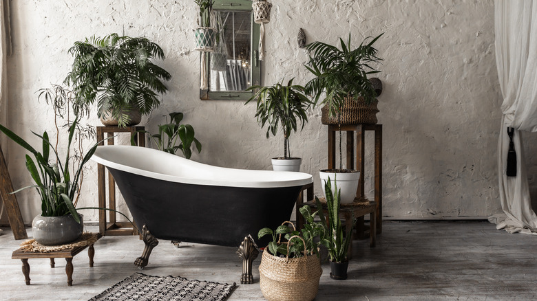 clawfoot bathtub surrounded by plants