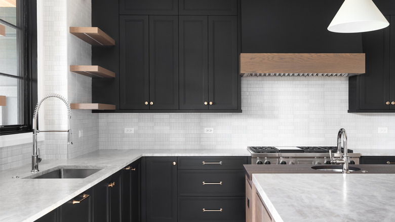 Modern kitchen with dark cabinets