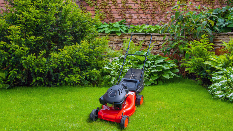 Freshly clipped lawn and mower