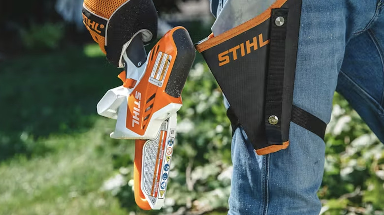 Stihl pruner