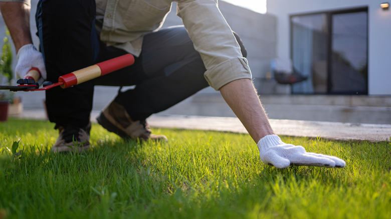 Person doing yard work near a hedge