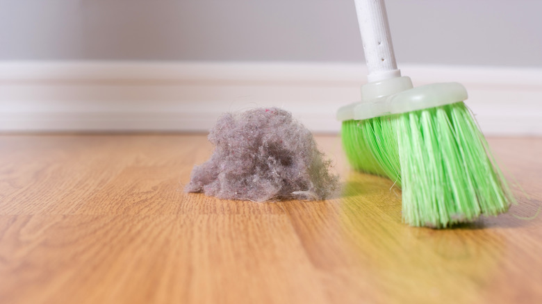 Dust bunny being swept up