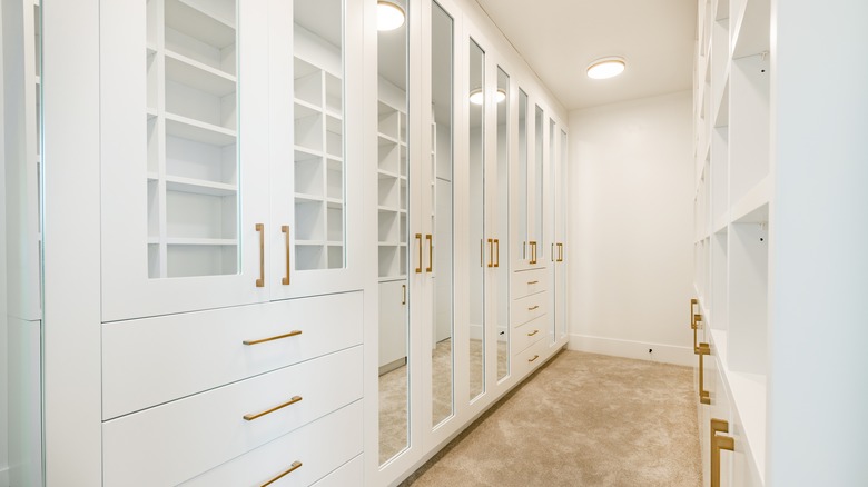 Walk-in closet with mirrors