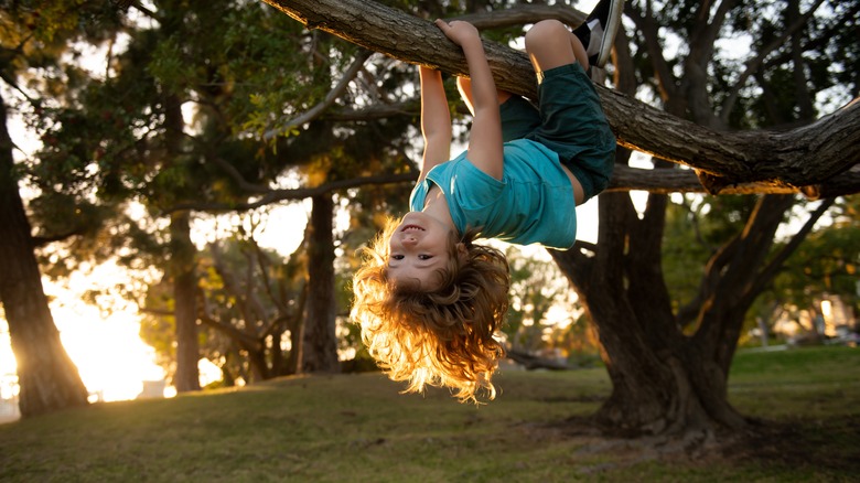 child hanging on a tree