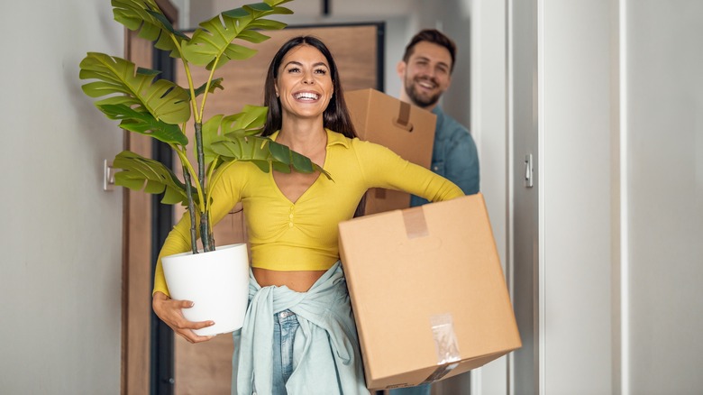 5 Moving Companies To Try For A Stress Free Long Distance Move