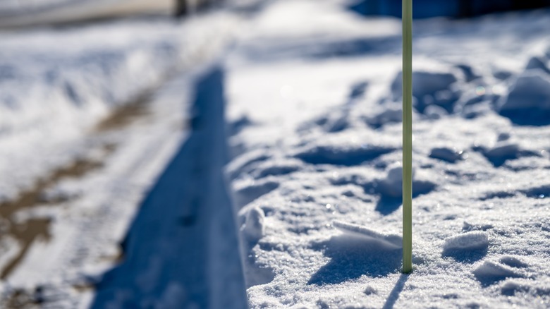 Driveway marker in the snow