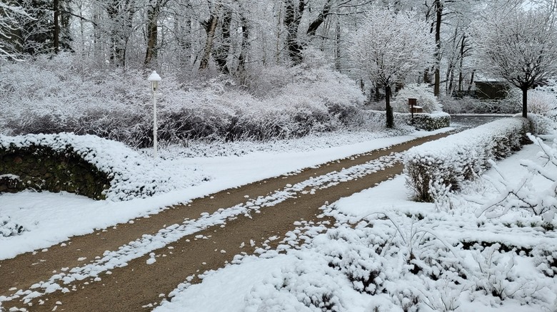 Gravel driveway in the winter