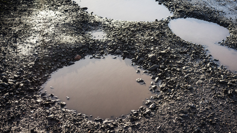 Potholes in a gravel road