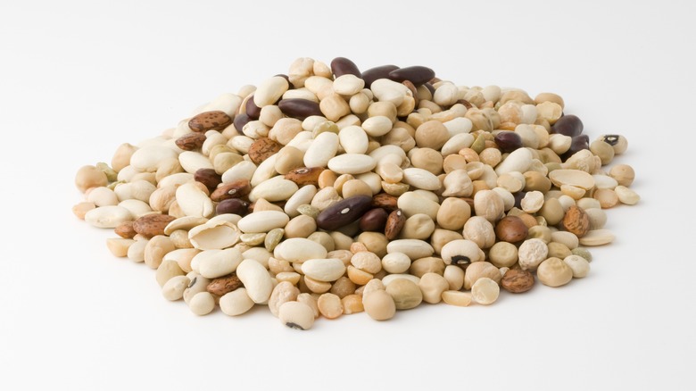 different varieties of beans