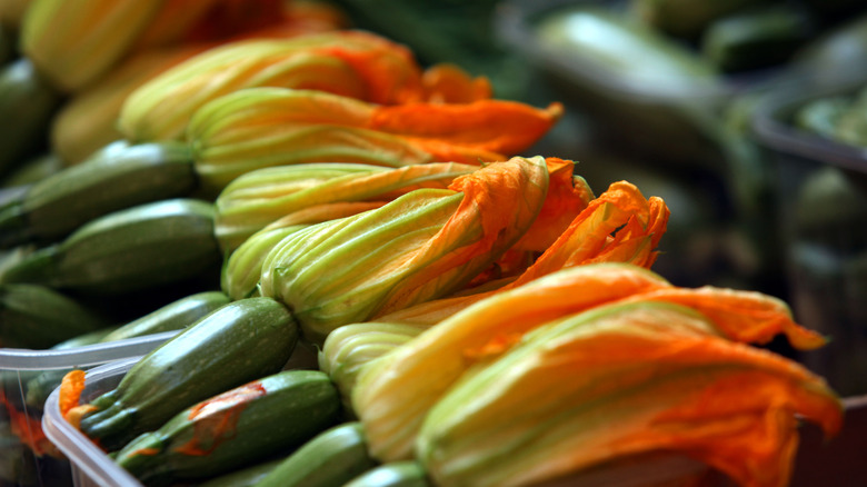 squash with flowers in containers