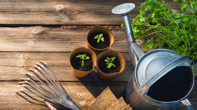 Gardening tools