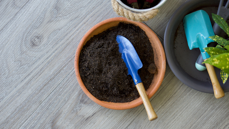 Pot of soil with shovel