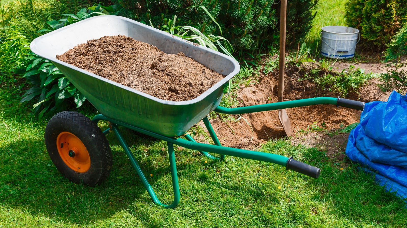 5 Clever Ways To Use Sand In Your Lawn And Garden