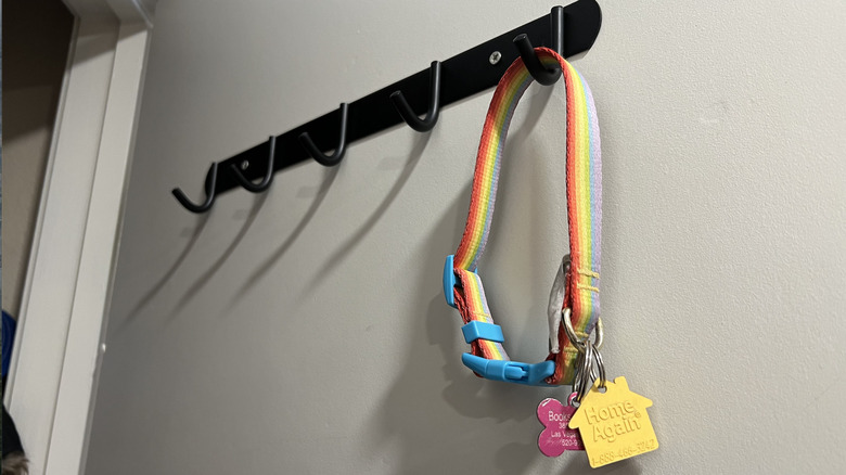 Collar hanging on door