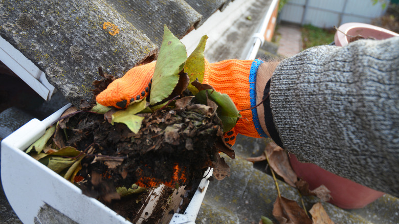 Man cleaning gutters