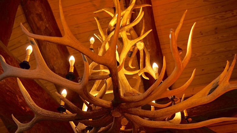 antler lighting fixture