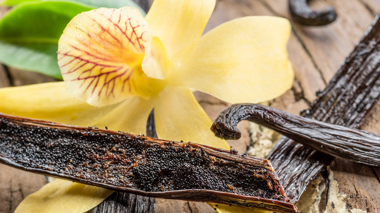 vanilla flower and beans