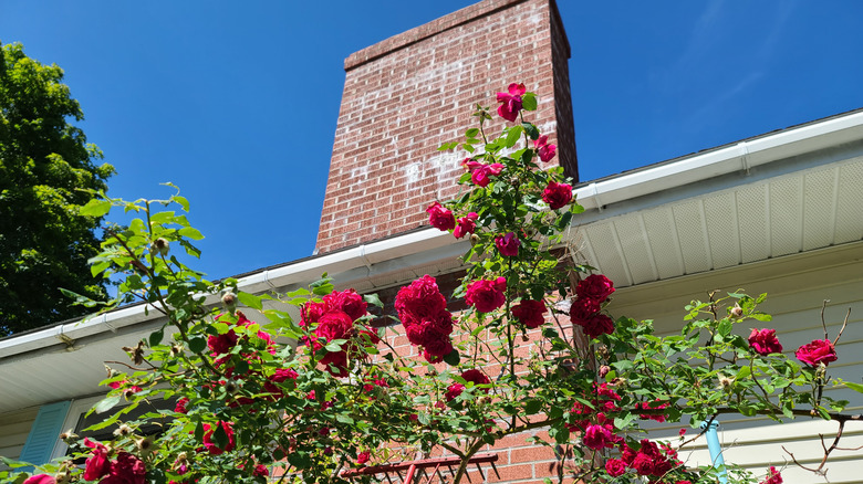 house chimney