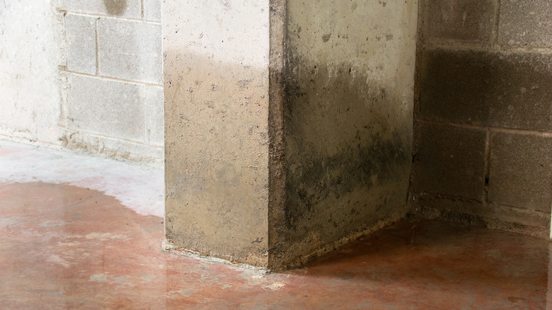 damp concrete wall