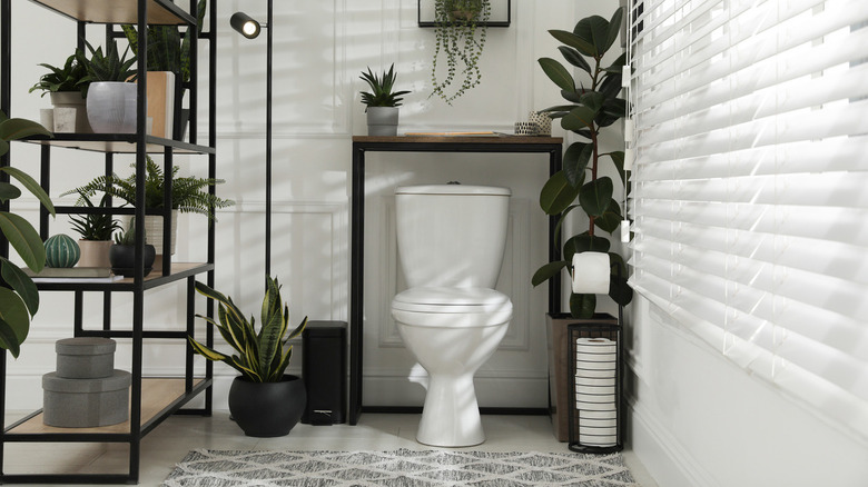 Bathroom shot with lots of plants