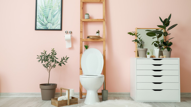 Ladder leaning behind bathroom toilet