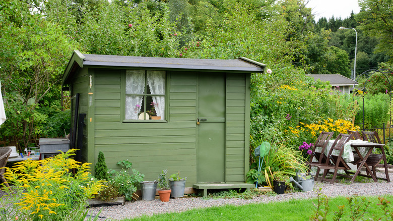 green backyard shed in garden