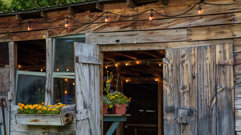 rustic wooden shed with lights