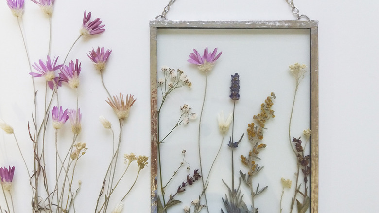 Dried herbs & flowers