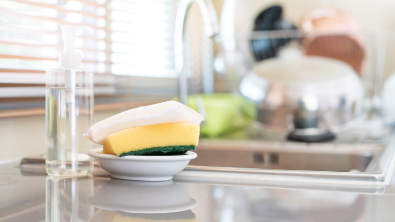 Sponges for dish washing