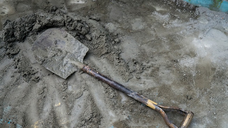 Shovel in soil mix