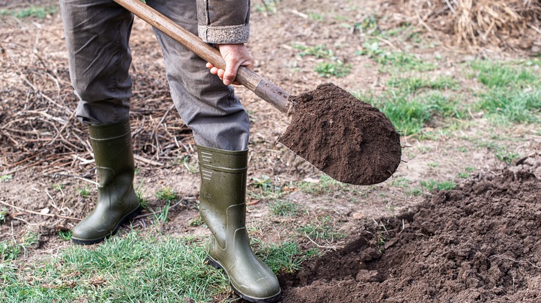 Man using shovel