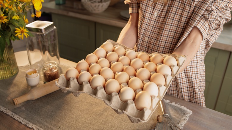 Tray of eggs in kitchen