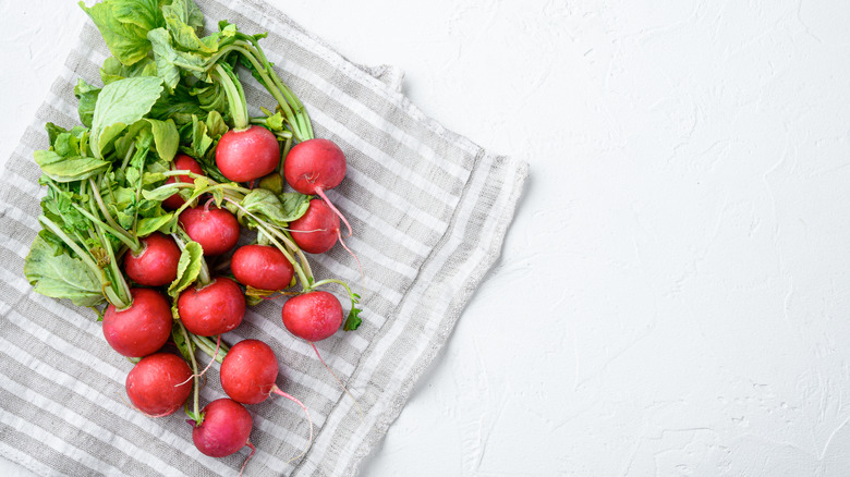 radishes drying on a towel