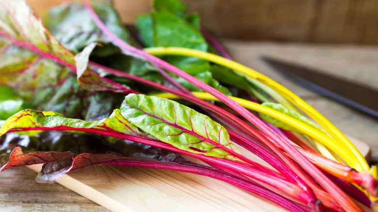 rainbow chard harvest