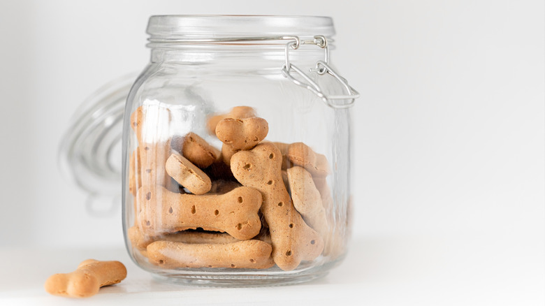 dog treats in jar 