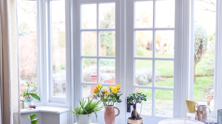 White trimmed French doors