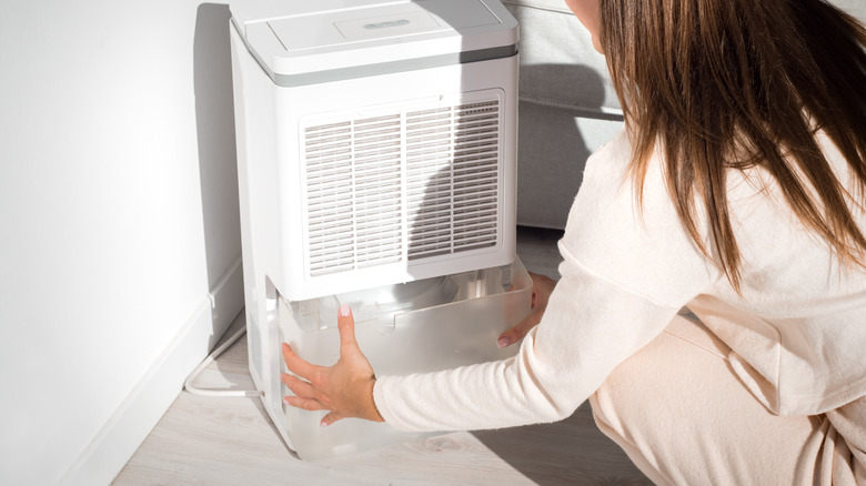 Person changing dehumidifier water container