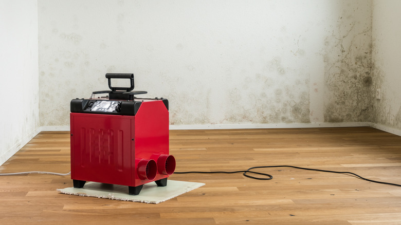 Dehumidifier, wall with stain