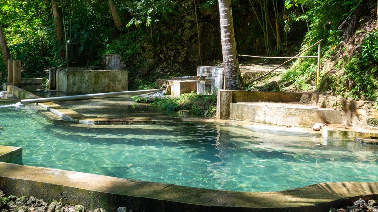 tiered pool surrounded by forest