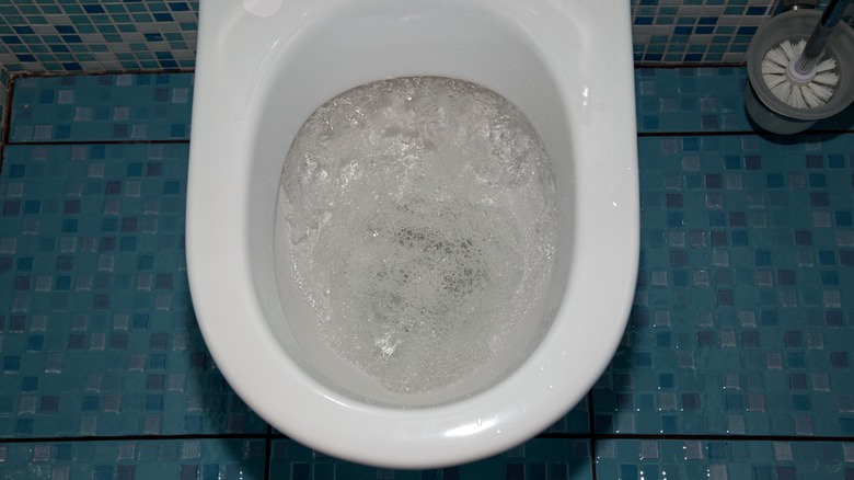 Closeup flush toilet